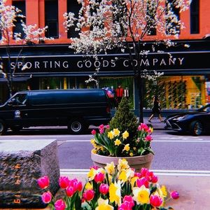 Meet your Posher, Rachel